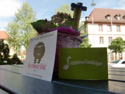 照片: Suppenplantage
